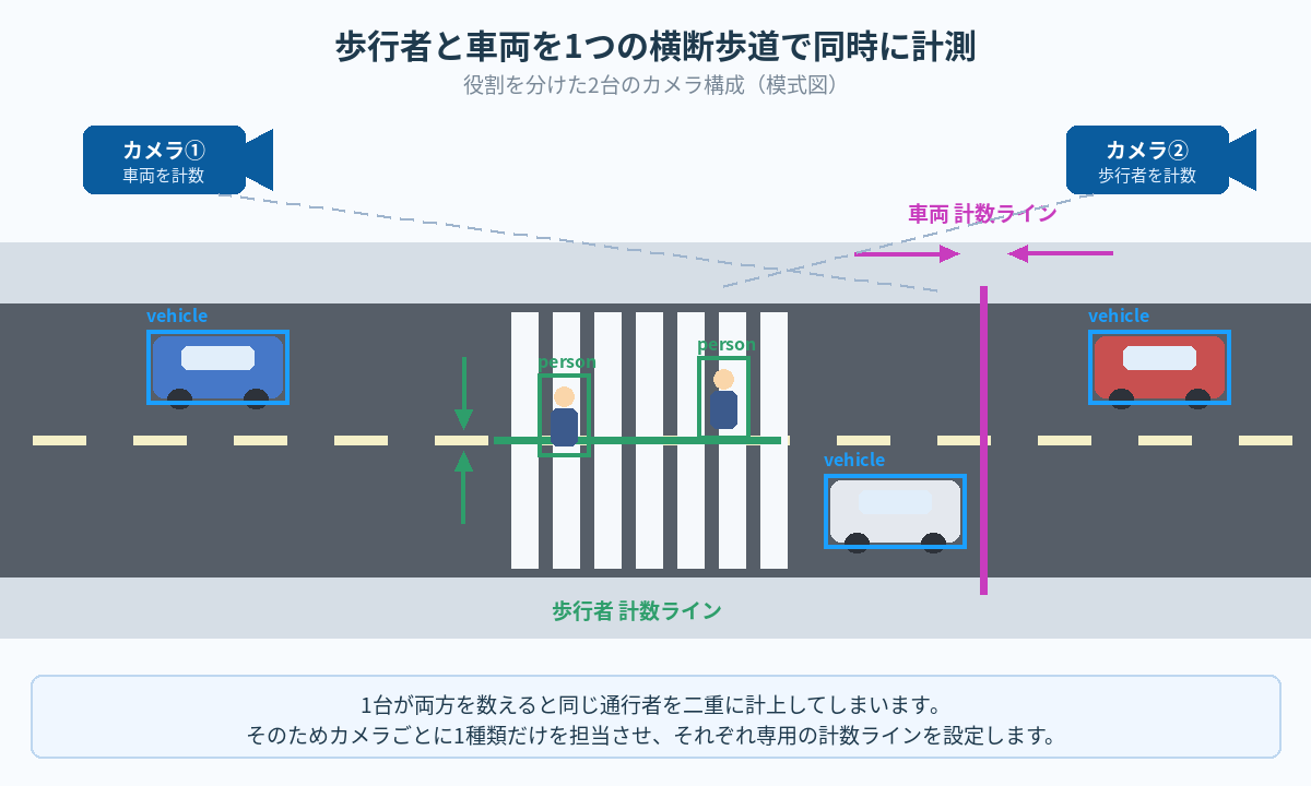 歩行者と車両を役割分担した2台のカメラで計測する模式図